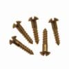 Polished Brass Round Head Screws