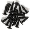Black Truss Wood Screws