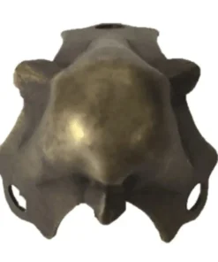 Small Antique Brass Trunk Corner