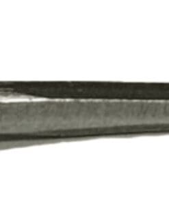 Steel Trunk Nail 1