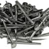 Steel Trunk Nails