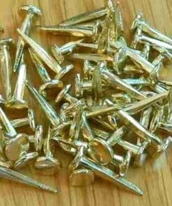 Brass Plated Trunk Nails