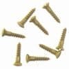 Oval Head Antique Brass Screws