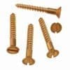 BAG OF 20 POLISHED BRASS SLOTTED SCREWS 7X1 INCH BM-1007PB