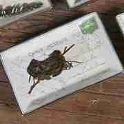 POST & QUILL PORCELAIN TRAY WITH EGG IN NEST BY HOMART HA-7011-42