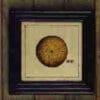 Sea Urchin Shell On Wood With Black Frame HA-1360-27