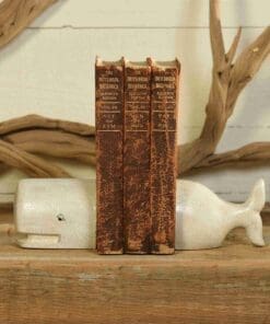 White Cast Iron Whale Bookends