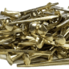 Trunk Nails Brass Plated